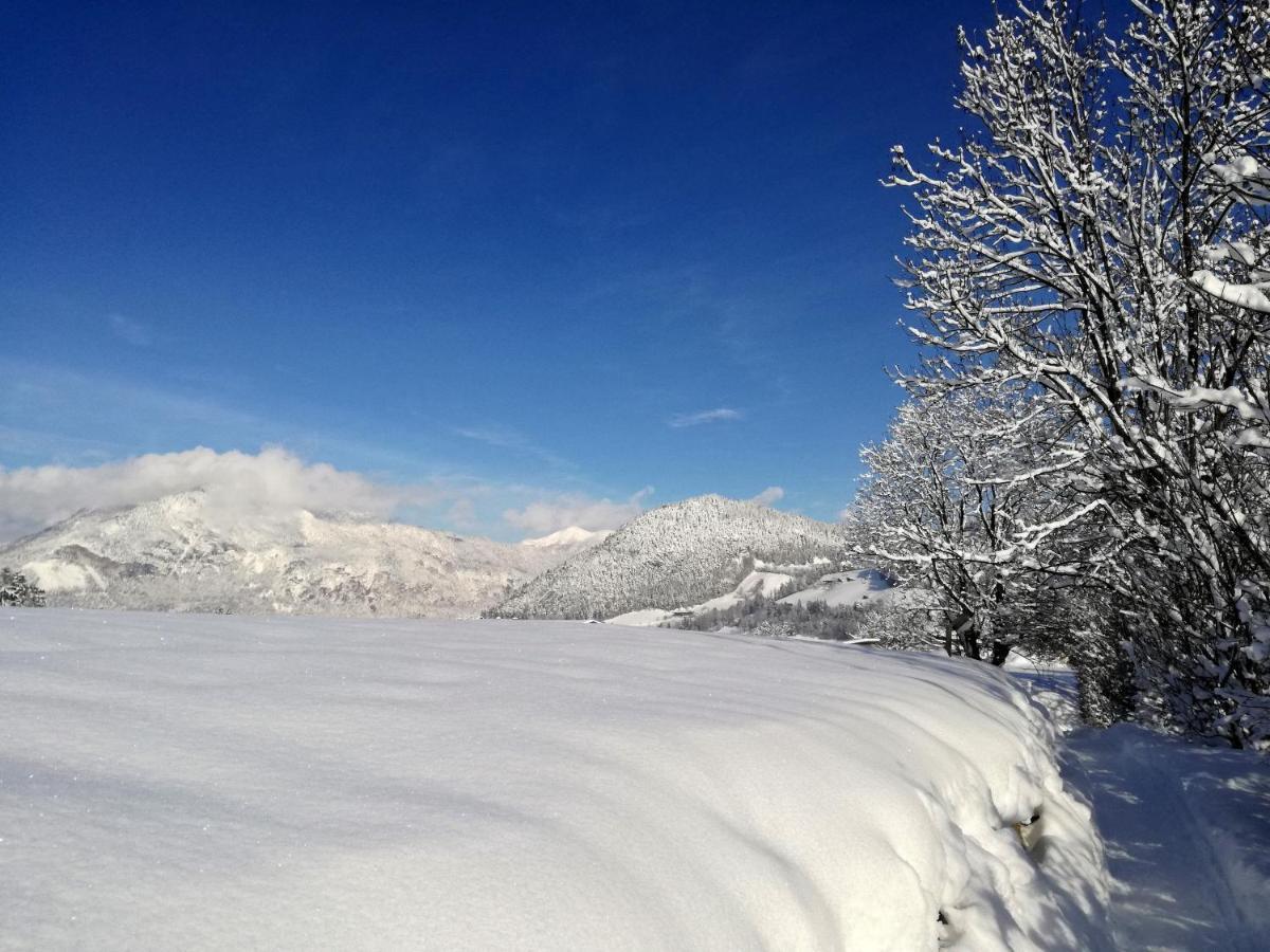 Tramberger Apartments Reith im Alpbachtal Kültér fotó